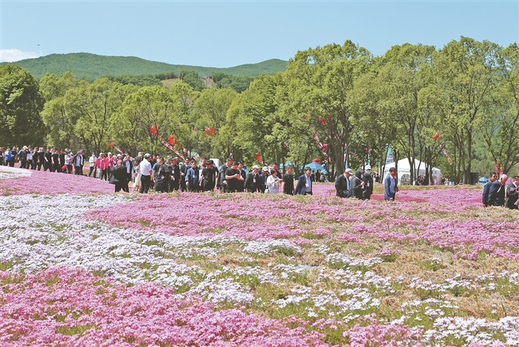 宝清芝樱花旅游文化节开幕