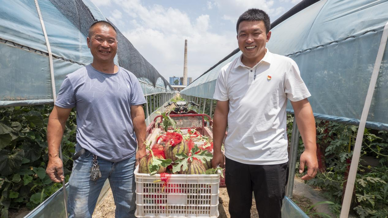 Récolte abondante des fruits à Weinan, dans la province du Shaanxi_fororder_图片2