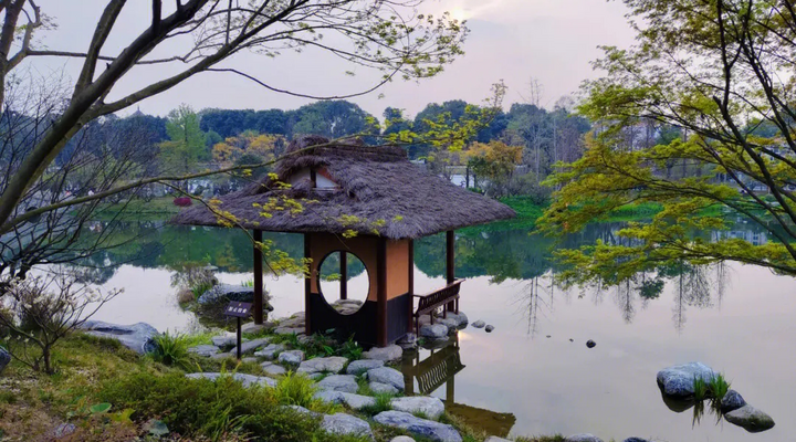 Huanhuaxi Park, The Most "Poetic" Bird-watching Park_fororder_图片1