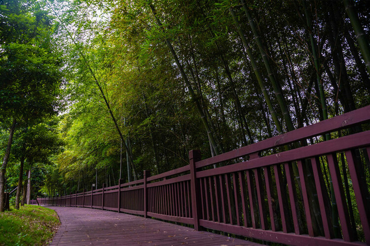 福建建瓯：笋竹产业节节高_fororder_建瓯市天添食品有限公司环境优美。李南轩 摄