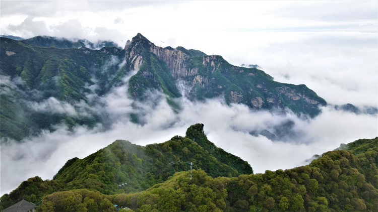 渭南： 全力推进黄河国家文化公园（渭南段）建设 打造黄河文化渭南新地标_fororder_图片2