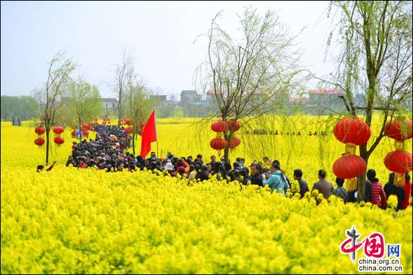 江西：长江风景小岛花海绽放 引游客纷至沓来