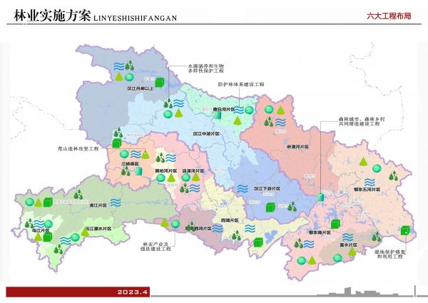 湖北印发《林业实施方案》 武汉青头潜鸭等栖息地提名保护