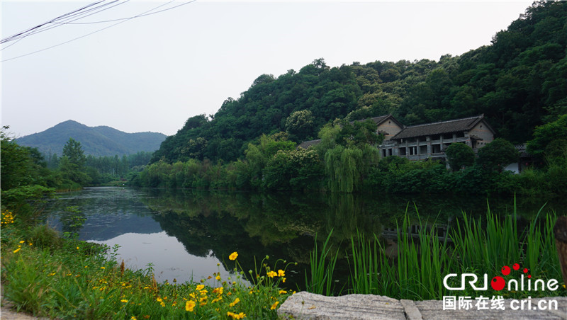 Belt and Road International Youth Experience Team Arrives in Pingqiao District, Xinyang to Discover New Chapters of Rural Revitalization_fororder_图片3