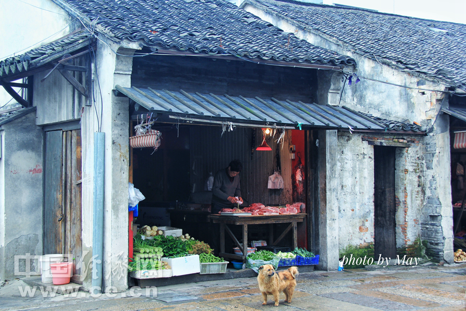 烟雨三月觅春踪 游南浔古镇