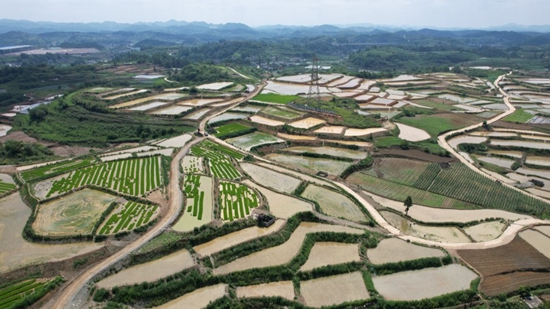 （供稿）贵州修文：高标准农田机械化插秧全面铺开_fororder_20230607141153-jIw70q-20230607110444-9F4yWc-.jpeg