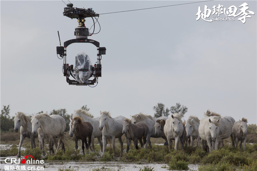 《地球四季》曝幕后特辑 雅克·贝汉动情讲述生命寓言