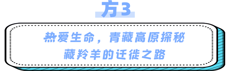 这个周末，总台“解暑良方”为您奉上