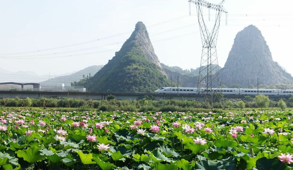 广西：夏日风景美如画