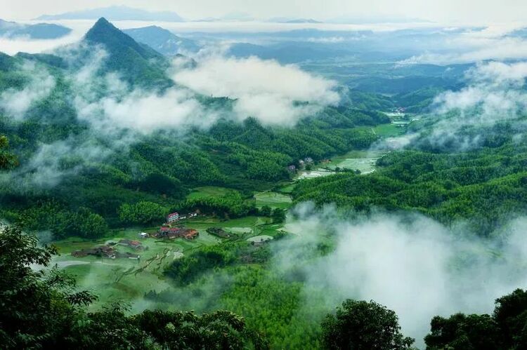 朱虹：“两山”转化赋能生态旅游高质量发展