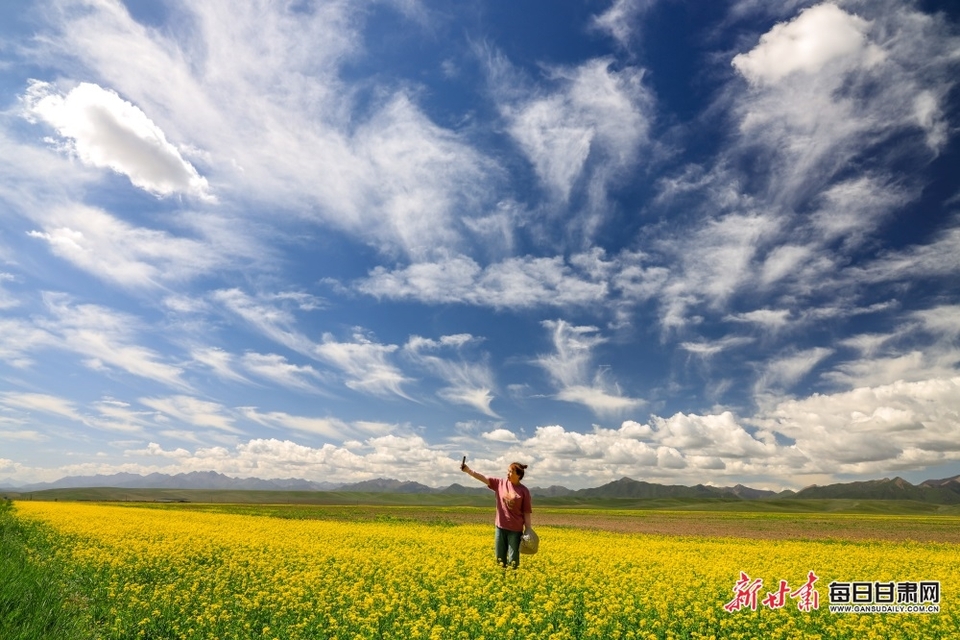 张掖：高温来袭 在山丹马场尽享22℃的夏天_fororder_1