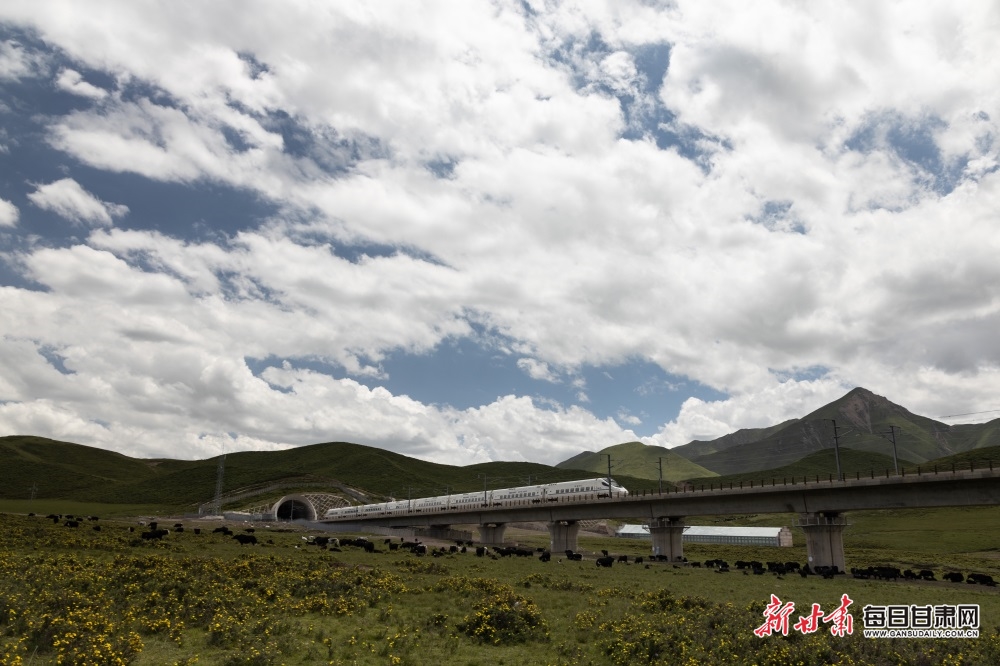 张掖：高温来袭 在山丹马场尽享22℃的夏天_fororder_4