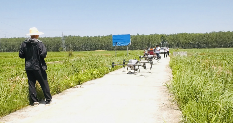 蚌埠市五河县新集镇：夏管农田有助力 植被无人机展开“科技之翼”_fororder_图片3