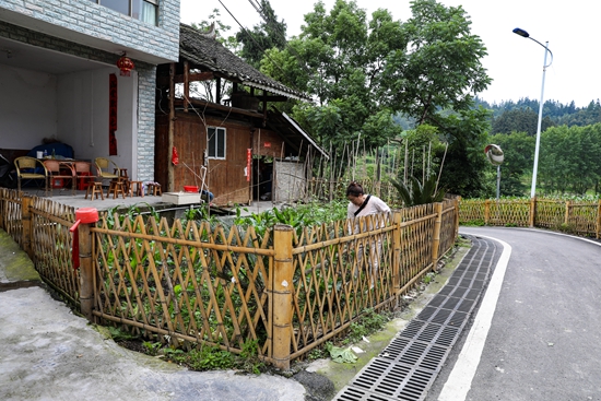 贵州天柱：聚焦庭院美化 共绘乡村“新景图”_fororder_近日，在天柱县邦洞街道赖洞村，村民正在自家的小菜园进行管护。.JPG