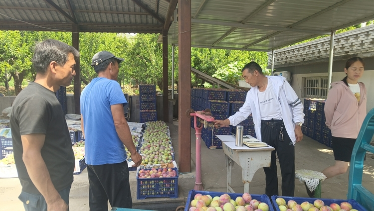 图片默认标题_fororder_一片忙碌的果品交易市场 摄影 耿晓静