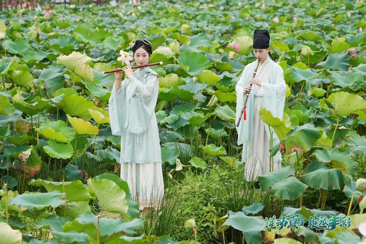 莲动夏日 绽放丰彩 第七届丰乐荷花节启幕_fororder_图片1