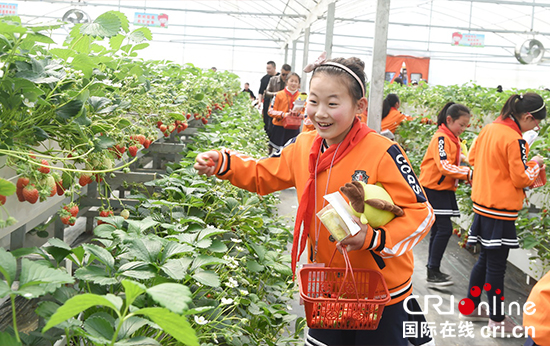 （供稿 节庆会展列表 三吴大地淮安 移动版）青年生态旅游助力金湖农业发展