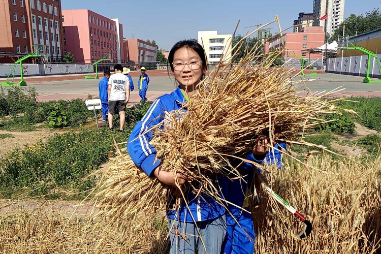 图片默认标题_fororder_同学展示自己的劳动成果 摄影 王俊