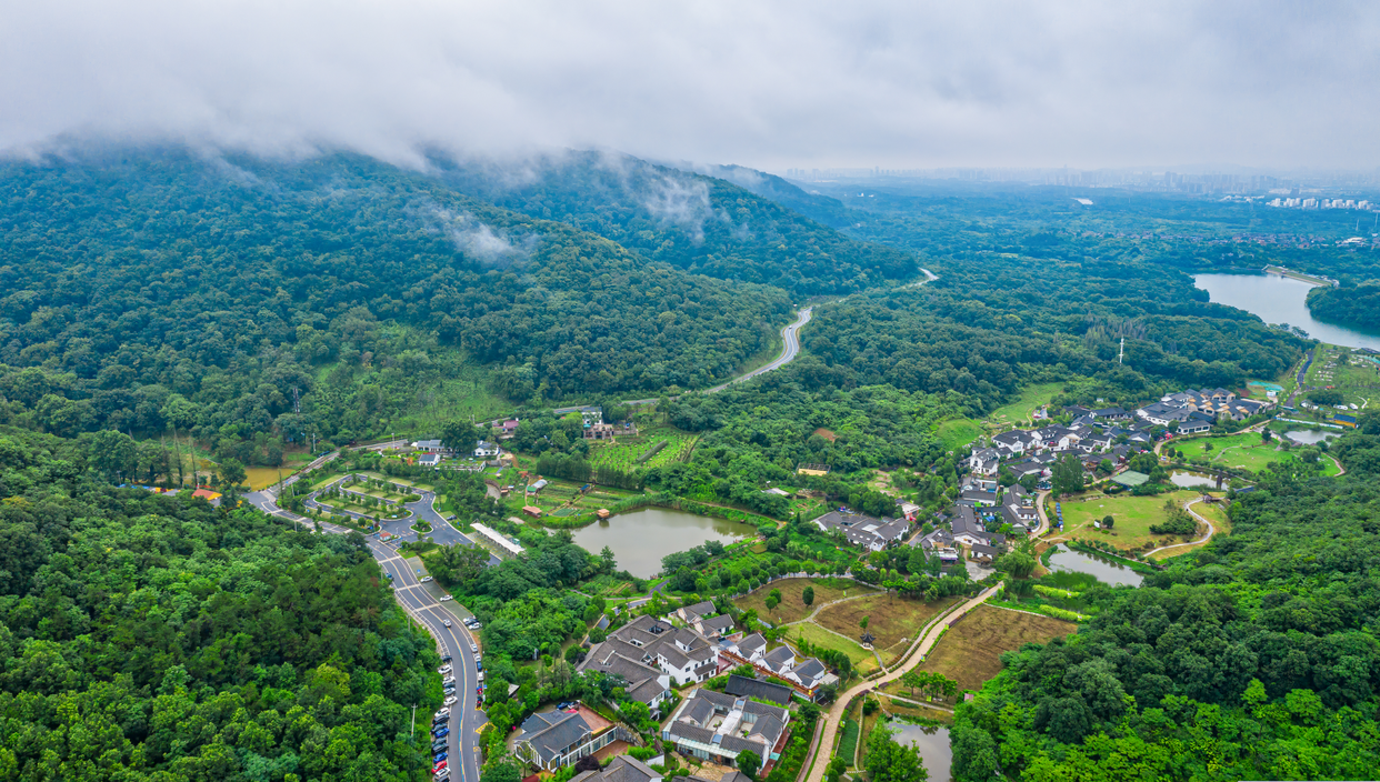 Hello World This is Laoshan National Forest Park_fororder_560