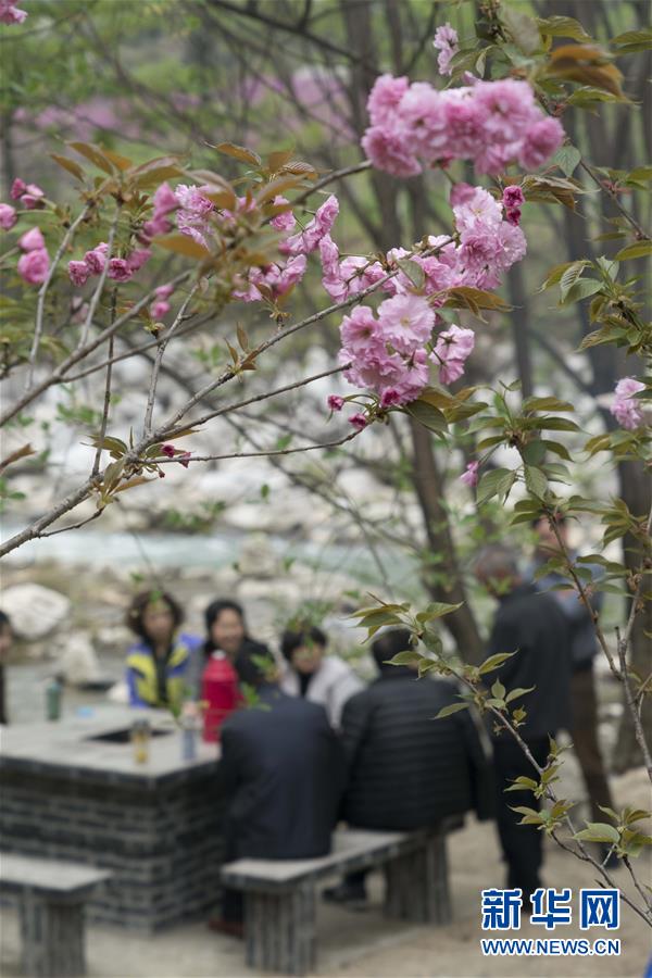 湖北兴山：浪漫“花溪”