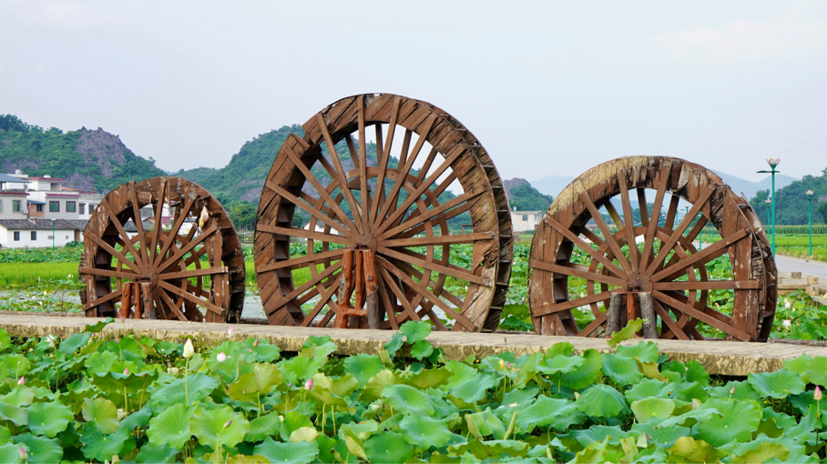 广西鹿寨：湿地生态避暑游助推乡村旅游火起来_fororder_图片134