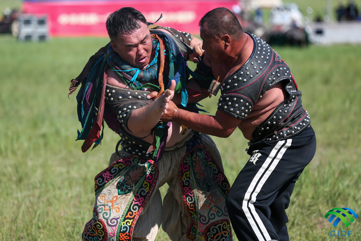 Wrestling Competition (Bökh) Held in Xilingol, Inner Mongolia_fororder_331A9383_副本