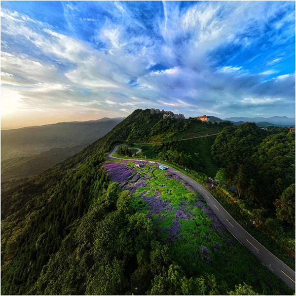 雅安海子山：“紫气”升腾 清凉一夏_fororder_“紫色”海子山-供图-雅安市委宣传部