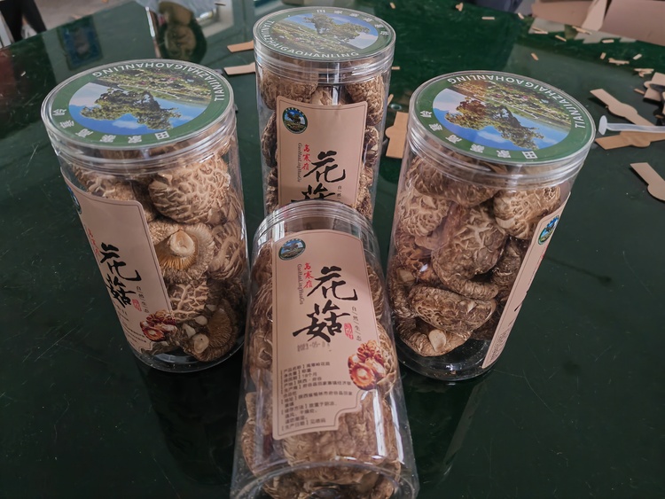 榆林府谷县10万废弃花菇菌棒资源化利用变有机肥_fororder_微信图片_20230625152942