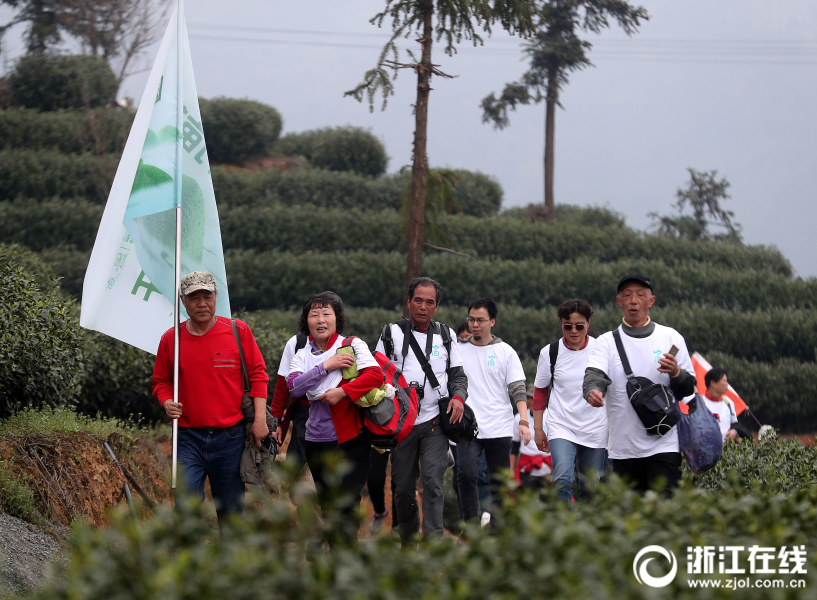 杭州：徒步万亩茶园 畅游美丽乡村