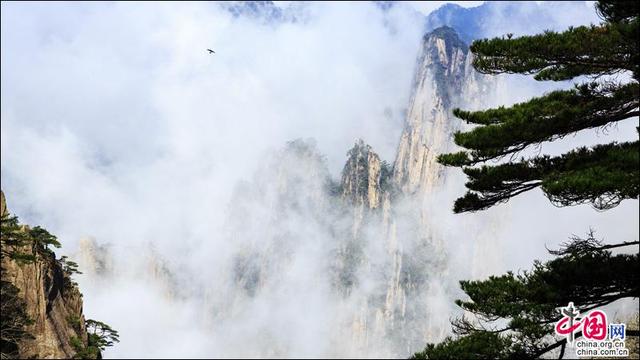 “黄山云海”神秘深邃的意境之美(组图)