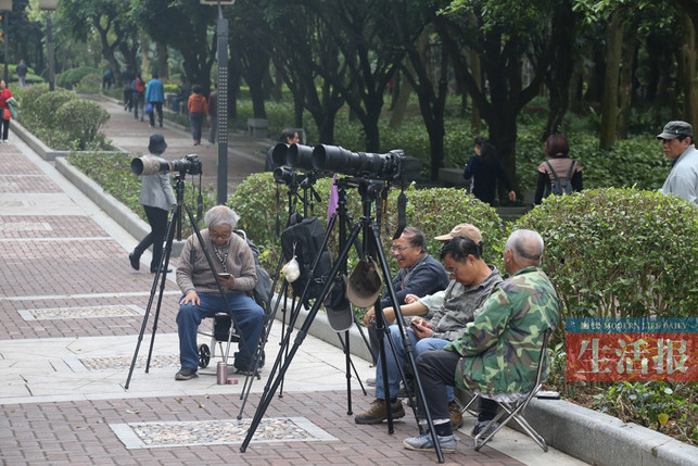 【焦点图】邕城公共文化设施短缺 老人精神文化活动贫乏(图)