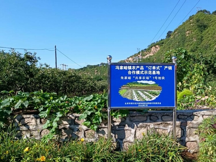 北控集团：培植特色旅游产业 助力美好活力乡村_fororder_2