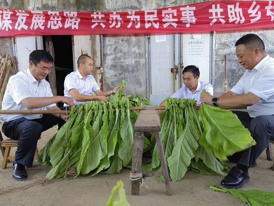 贵州思南：党员干部服务农民烘烤烟叶忙_fororder_党员干部帮助烟农绑扎烟叶（县烟草公司 供图）