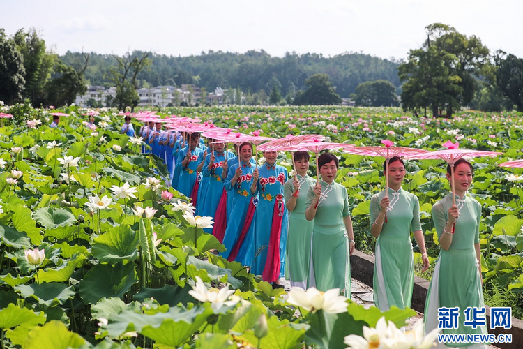 江西广昌：莲池旗袍秀 人在画中游_fororder_2