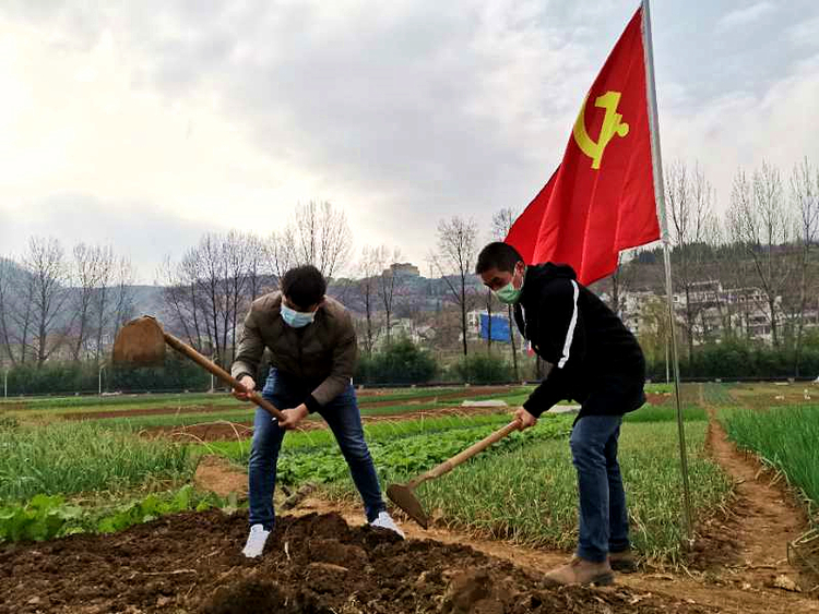 钟山区大桥村：“四走四进来”绘就乡村振兴“幸福卷”