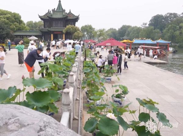 江苏各地夏日旅游季缤纷开启 热门景区客流涌动