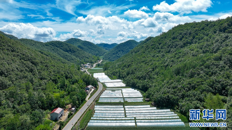 湖北保康：高山小镇 云景如画