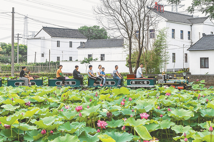 江苏：鼓起农民钱袋子 拓宽全域共富路_fororder_2