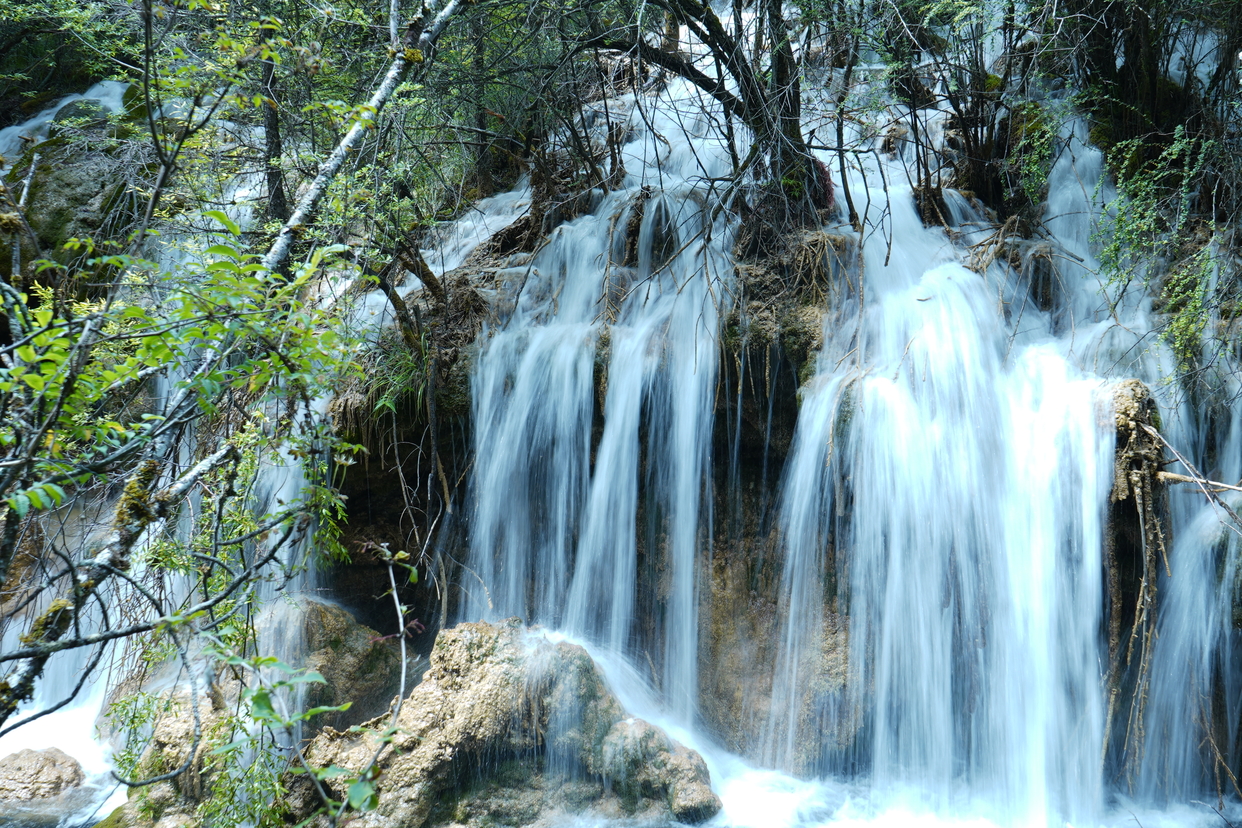 Amazing Scenery of Jiuzhaigou in Sichuan Province_fororder_ea2157a6735f2a0edc8c1ea4c37554a