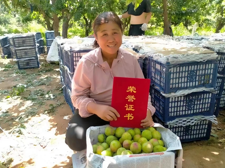 图片默认标题_fororder_果农获得荣誉证书 摄影 刘敬