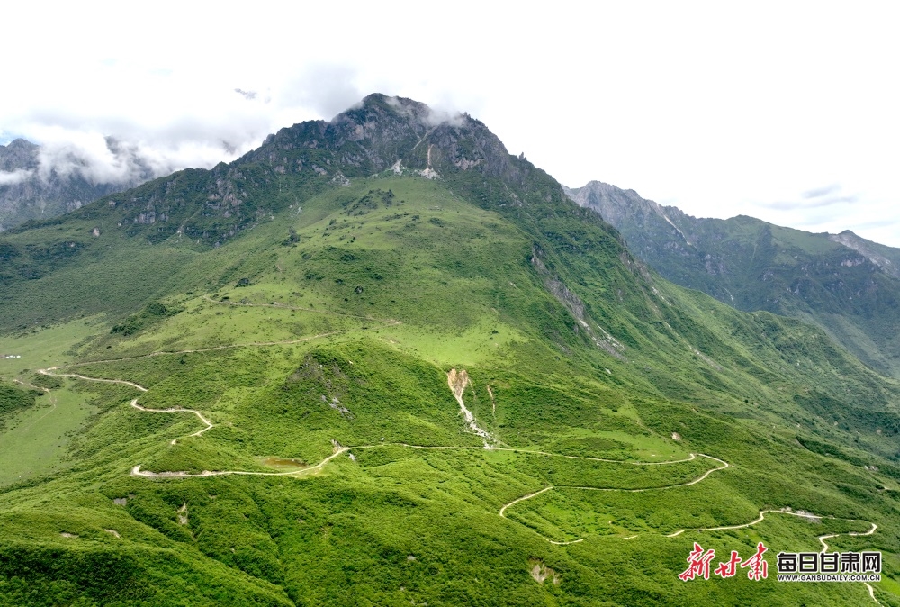 陇南文县雄黄山：草甸如茵山峰险 牛羊散落似珍珠