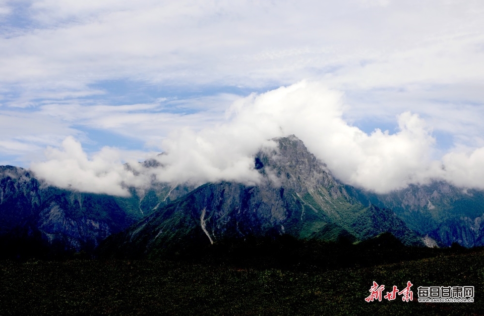 陇南文县雄黄山：草甸如茵山峰险 牛羊散落似珍珠_fororder_1