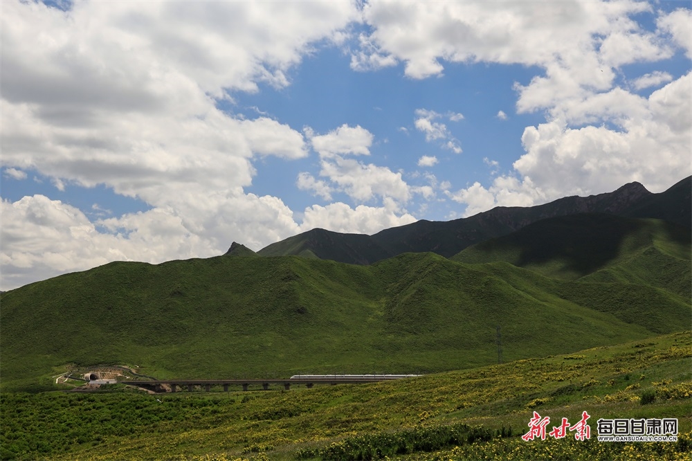 张掖：高温来袭 在山丹马场尽享22℃的夏天_fororder_5