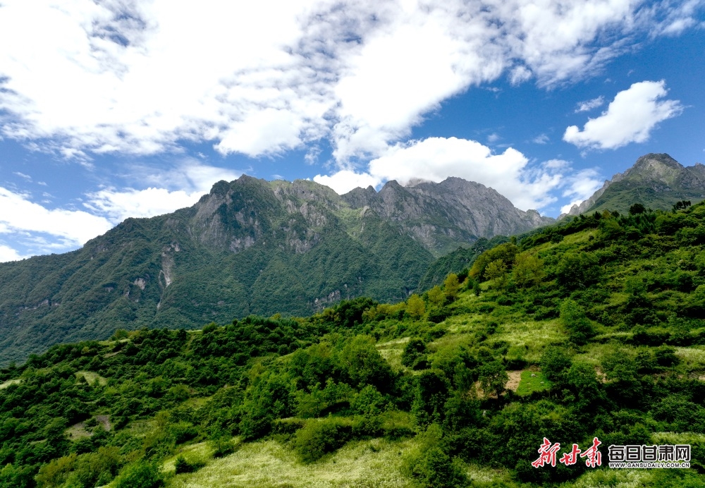 陇南文县雄黄山：草甸如茵山峰险 牛羊散落似珍珠_fororder_3