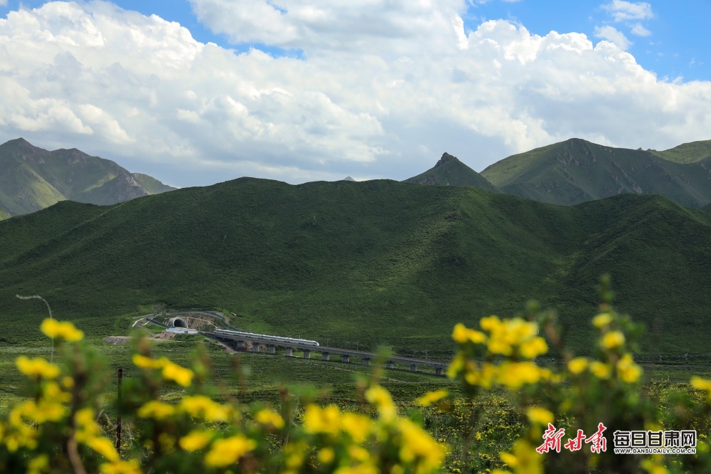 张掖：高温来袭 在山丹马场尽享22℃的夏天_fororder_6