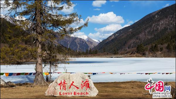 雪映桃花别样红，四川达古冰山初春美景漫天花舞