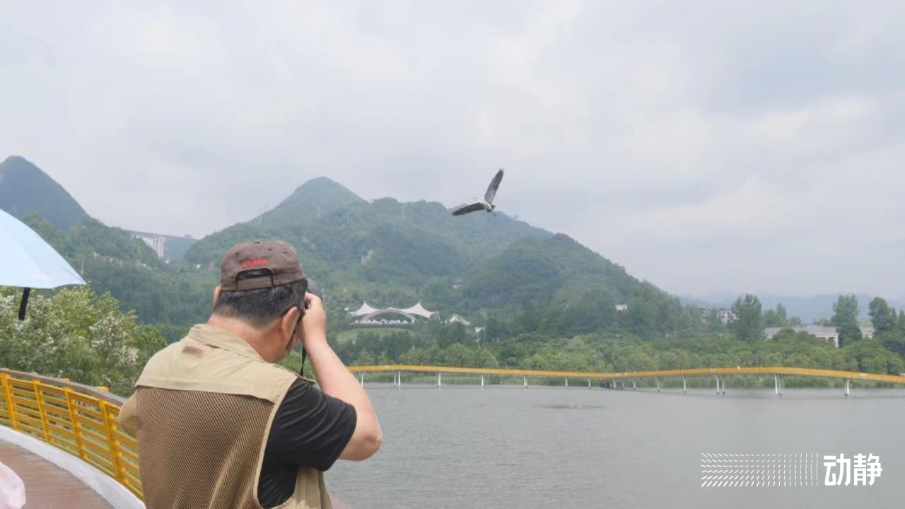 “煤都”到“凉都” 六盘水跑出转型加速度