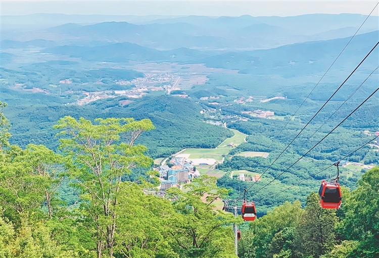 夏日有凉方 避暑到龙江