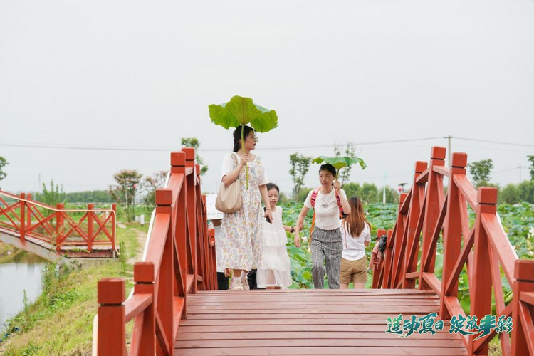 莲动夏日 绽放丰彩 第七届丰乐荷花节启幕_fororder_图片14