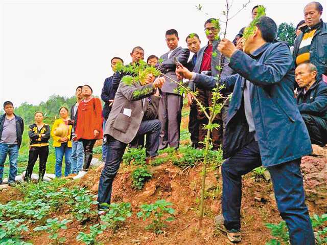 【区县联动】【万州】万州区龙驹镇开办扶贫讲习所 对贫困户进行培训【区县联动 列表】万州区龙驹镇：脱贫户走上讲台教致富经